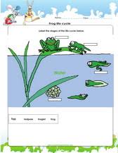 Use our free and fun science worksheets, printable life science worksheets, cool solar system worksheets and online 5 senses worksheets and watch the budding scientists get busy! Science Worksheets For Grade 1