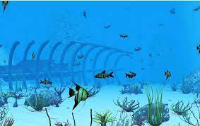 Gambar pemandangan dibawah laut kartun brad erva doce info. Gambar Pemandangan Bawah Laut Harian Nusantara