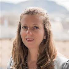 Optimising Social Services with AI: Case Studies from Australia, France and  UK