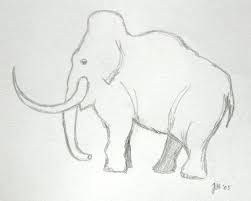 We did not find results for: Easy How To Draw A Ox Step By Step Novocom Top