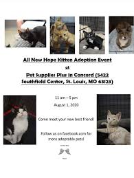 Please note, these dogs are from rescues and shelters nationwide and are not available through the aspca. Cat Adoption Event Psp Pet Supplies Plus Concord Mo Facebook
