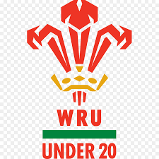 Football logo, wales national football team, china cup, uruguay, uruguay national football team, 1958 fifa world cup, uefa, 2018 free png. Football Logo Png Download 1000 1000 Free Transparent Wales National Rugby Union Team Download Cleanpng Kisspng