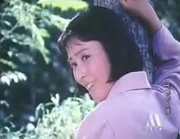 Fei lai de nü xu (1982)