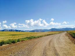 Our leadership coaching supports leaders to tap the best version of their leadership and succeed in new or existing roles. Wanderlust Careers Online Career Testing Coaching