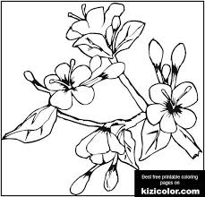 Our mother s day coloring pages are perfect for mom or grandma. Blooming Flowers In May Coloring Page Free Print And Color Online