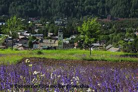In scena circa la metà degli stagisti per presentare il lavoro di. Estate A Bardonecchia Consorzio Turismo Bardonecchia