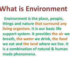 Electromagnetic environment is radio waves and other electromagnetic radiation and magnetic fields. What Is Meant By Environment Brainly In