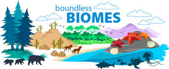 They are used by roadrunners for nesting, and also provide a home for desert tortoises. Biomes Of The World Ask A Biologist