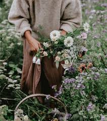 Anna Kubel On Instagram September Rectangle Garden Design Flower Farm Flowers