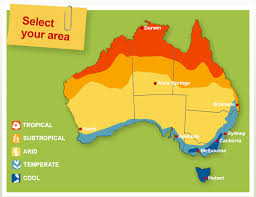 7 Vegetables That Are Easiest To Grow Stay At Home Mum Easiest Grow Home Mum Stay T