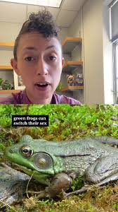 happy #Pride ! for today’s #QueerIsNatural : #greenfrogs 🐸🌈 #frog #fyp  #scrappynaturalist #science #happypride #lgbtq #queer #nature #wildlife  #science #animals #learn @National Geographic media ...