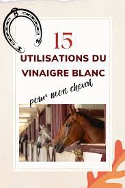 15 utilisations du vinaigre blanc a l ecurie cheval vinaigre blanc utilisations du vinaigre blanc