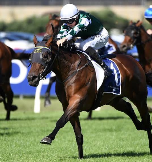 Ohope Wins: Superstar staying filly to skip NZ Derby and join Chris Waller stable - NZ Herald