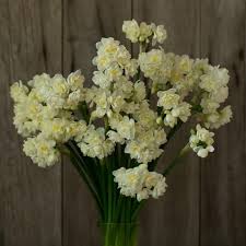 Floret Flower Farm S Favorite Narcissus Floret Shop Heirlooms Flowers Spring Flower Arrangements Narcissus