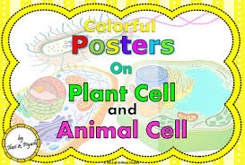 Vacuoles are storage sacs for solid or liquid contents. Cell Colorful Posters For Classroom Animal Cell Plant Cell Teaching Resources