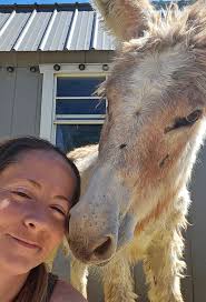 These beautiful ladies are in Goldendale WA. If anyone is interested in  adopting one of them, PM Kim Shoemaker Anderson for an adoption application  asap. They will be heading to NV shortly.