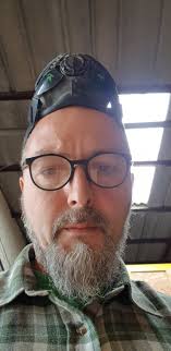 Larch forest bonsai tree growth progression