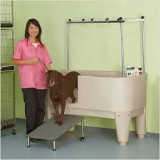 Is the eau de dogue getting a bit too much to handle? 84 Dog Wash Stands Ideas