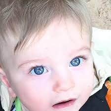 Who was Clemson football player number 40 in 1961?