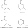 Guanine and thymine thymine and cytosine мо 1