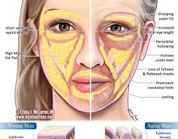 Pin On Aesthetic Medicine