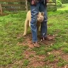 Robin Rix (robinrixemail)