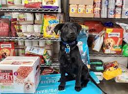 Slideshow get help for migraine relief. Donate To Help Pet Food Pantry Get Beer Levittownnow Com