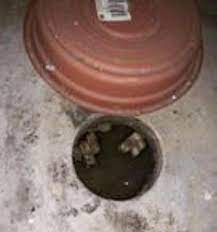 Active 5 years, 4 months ago. Strange Hole In Basement Floor Doityourself Com Community Forums