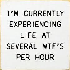 I'm Currently Experiencing Life At Several WTF's Per Hour | Funny ...