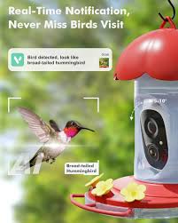 Smart Hummingbird Feeder with Camera