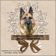 Ist schon erschreckend dies ist nun schon der zweite. Burzeltag 2012