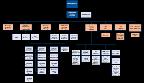 76 Eye Catching Parkland Hospital Organizational Chart