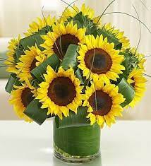 Flowers Get Well Flowers Flower Delivery Flower Arrangements