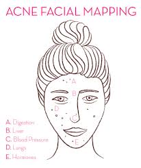 Best vitamin a supplement for acne. How To Use Facial Mapping To Reduce Breakouts Hum Nutrition Blog