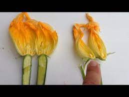 A closer look will reveal the differences. Male And Female Zucchini Flowers Youtube