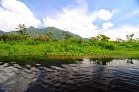 Danau rawa pening rawa pening adalah danau alam di kabupaten semarang, jawa tengah. Rawa Dano Menyusur Keindahan Cagar Alam Di Banten Banten