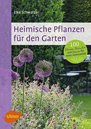 Ein Gartenparadies Fur Bienen Und Hummeln Garten Pflanzen Pflanzen Garten