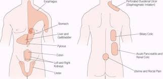 Pin On Medical Articles