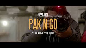 Kizz Daniel Pak N Go Download Video Mp4 Trendybeatz