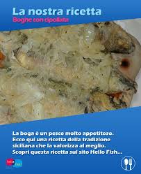 Una ricetta semplice da realizzare e di grande gusto!!!cosa ne dite??? Hello Fish On Twitter Venerdi Ricetta Di Pesce Boga Con La Cipollata Clicca Qui Https T Co Gofsyqy2ar