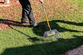 Maybe you would like to learn more about one of these? Mistakes To Avoid When Cleaning Artificial Turf Turfresh