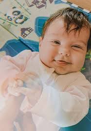 Lavender may avery HD wallpapers