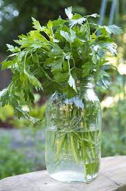 The Easiest Way To Preserve Parsley | Kitchn