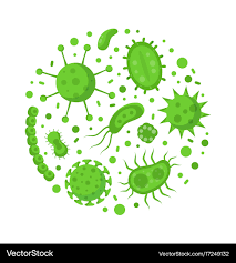 Image result for Microorganism