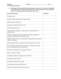 Cell Organelles Worksheet