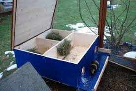 Pin Von Sabine Kunert Auf Meerschweinchen Meerschweinchen Meerschweinchen Gehege Meerschwein