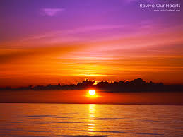 Red orange and yellow sunset. Purple Pink Orange Yellow Sunset Novocom Top