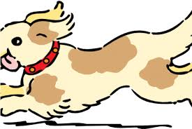 Over 22,565 4th of july pictures to choose from, with no signup needed. Download Dog Clipart Clipart Cute Dog Dogs Safety 4th Of July Png Image With No Background Pngkey Com