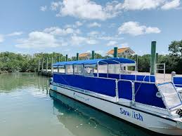 The park is an expansive 172,971 acres and 95 percent is water. The Best Things To Do In Biscayne National Park Cs Ginger Travel