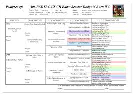 5 Generation Pedigree Template Free Resume Templates